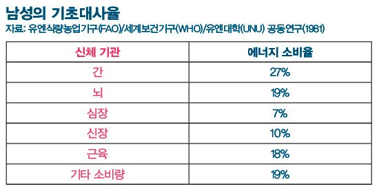 기초대사율.jpg